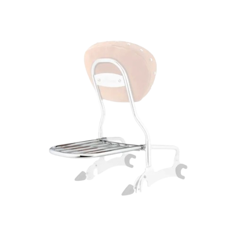 乘客後靠背行李架